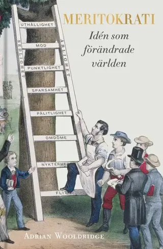 Meritokrati : idén som förändrade världen