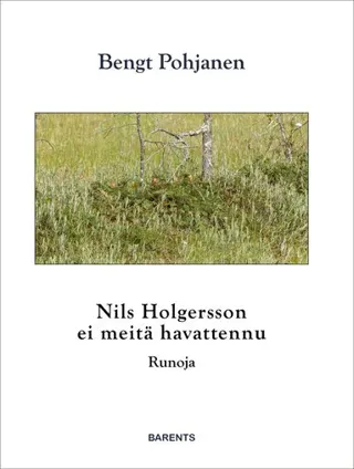 Nils Holgersson ei meitä havattennu