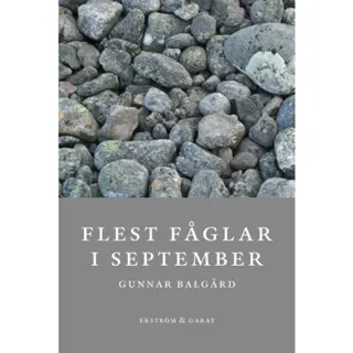 Flest fåglar i september