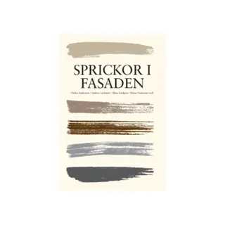 Sprickor i fasaden (2018)