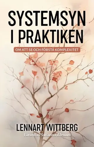 Systemsyn i praktiken