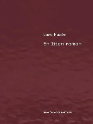 En liten roman