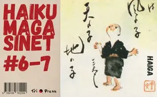Haikumagasinet 6-7