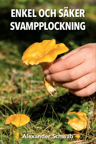 Enkel och säker svamplockning