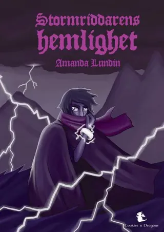 Stormriddarens hemlighet