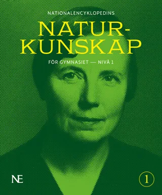 NE Naturkunskap för gymnasiet : nivå 1