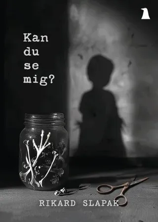 Kan du se mig?
