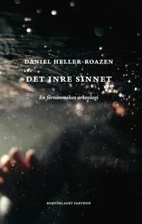 Det inre sinnet : en känslas arkeologi