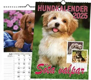 Hundkalender 2025 (Bok / Spiral)