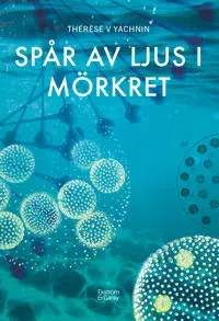 Spår av ljus i mörkret
