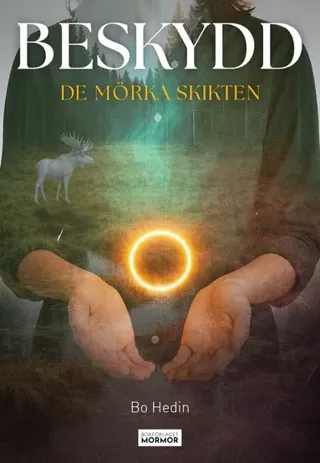 Beskydd : de mörka skikten
