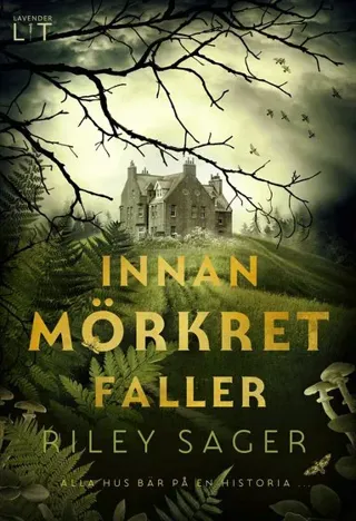 Innan mörkret faller