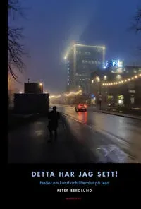 Detta har jag sett! Essäer om konst och litteratur på resa