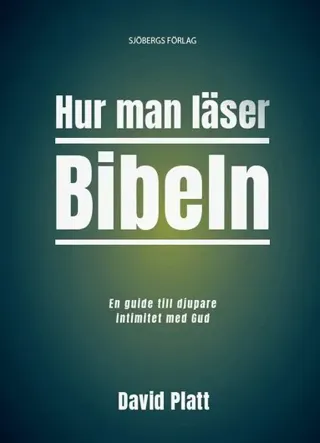 Hur man läser Bibeln