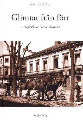 Glimtar från förr : axplock ur Gävles historia