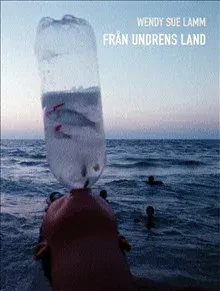 Från undrens land