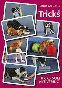 Tricks som aktivering
