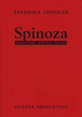Spinoza : multitud, affekt, kraft