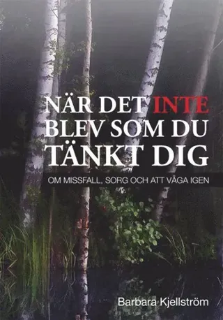 När det inte blev som du tänkt dig : om missfall, sorg och att våga igen