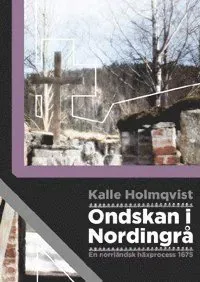 Ondskan i Nordingrå : en norrländsk häxprocess 1675