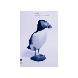 Where did this begin? : Testbild!