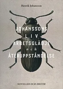 Johanssons liv, arbetsglädje och återuppståndelse : noveller och dikter