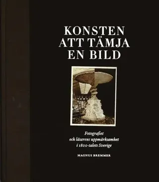 Konsten att tämja en bild