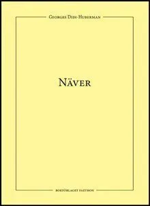 Näver