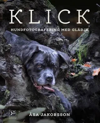 Klick : hundfotografering med glädje