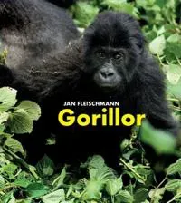 Gorillor : en spännande upptäcktsresa i Kongo