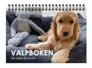Valpboken : din hunds första år