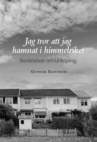 Jag tror att jag hamnat i himmelriket - berättelser om Linköping