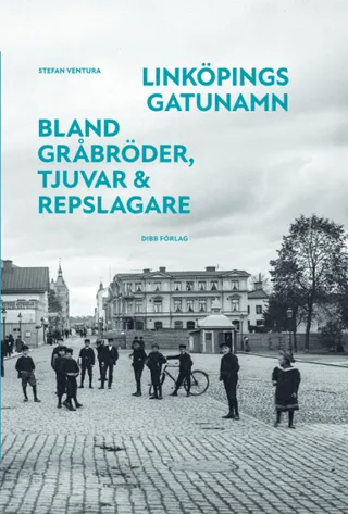 Linköpings gatunamn - Bland gråbröder, tjuvar & repslagare