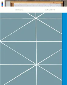Matts Leiderstam : Seen Through the Grid