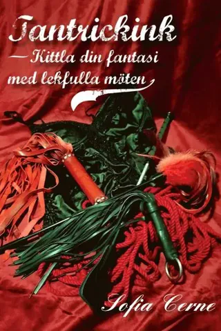 Tantrickink - Kittla din fantasi med lekfulla möten