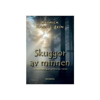 Skuggor av minnen : en novellsamling om att finna ljus i mörker
