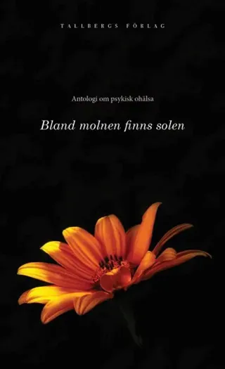 Bland molnen finns solen