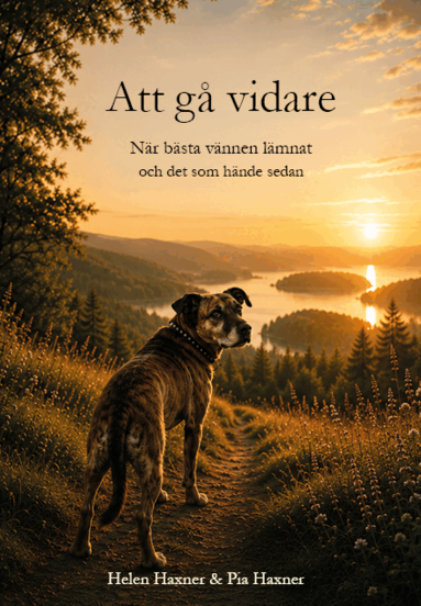 Att gå vidare när bästa vännen lämnat - och det som hände sedan