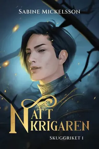 Nattkrigaren