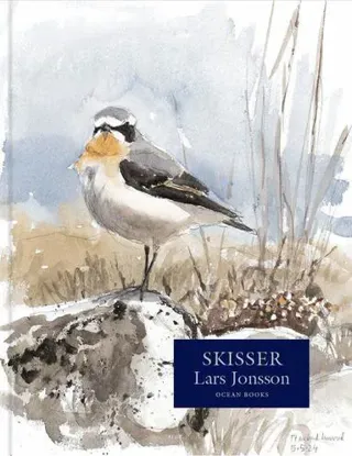 Skisser