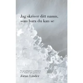 Jag skriver ditt namn som bara du kan se : en spegeldagbok i polarfararen S. A. Andrées spår genom isen
