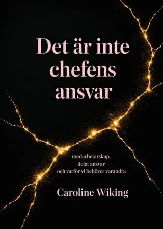 Det är inte chefens ansvar : medarbetarskap, delat ansvar och varför vi behöver varandra