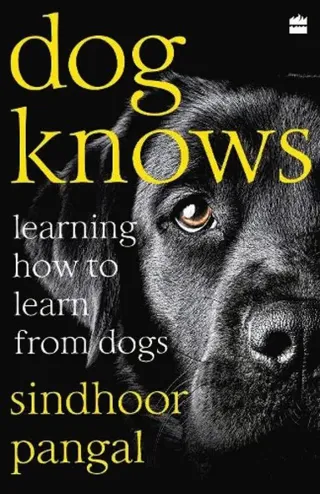 Dog Knows