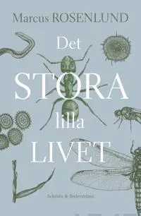 Det stora lilla livet