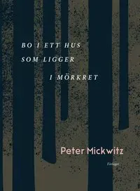 Bo i ett hus som ligger i mörkret