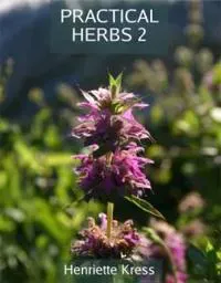 Practical Herbs 2