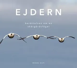 Ejdern - berättelsen om en skärgårdsfågel