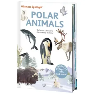 Ultimate Spotlight: Polar Animals