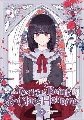 Perks of Being an S-Class Heroine, Vol. 3