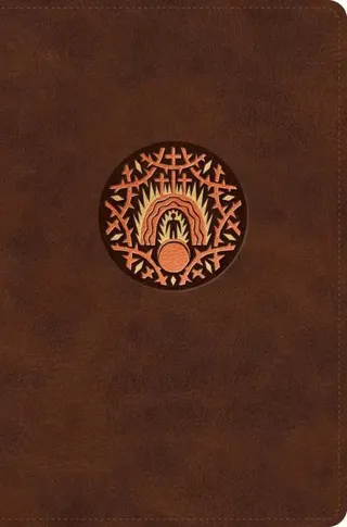 ESV The Biggest Story Holy Bible for Kids